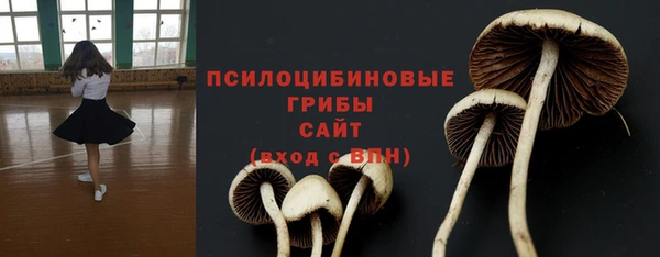 гидра Абдулино