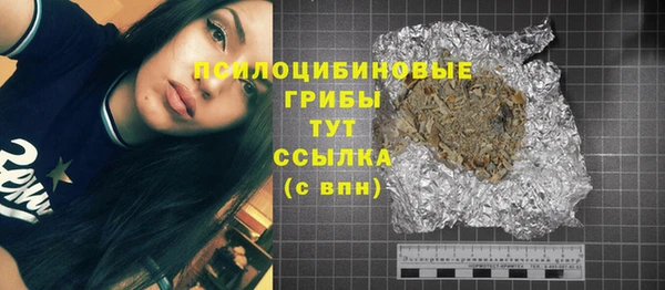 ГАЛЛЮЦИНОГЕННЫЕ ГРИБЫ Алексеевка