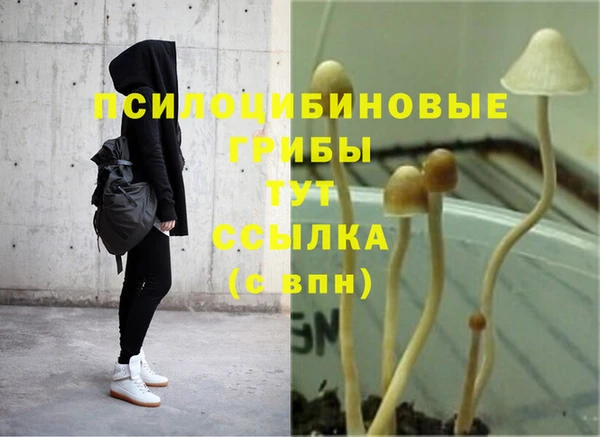 гидра Абдулино