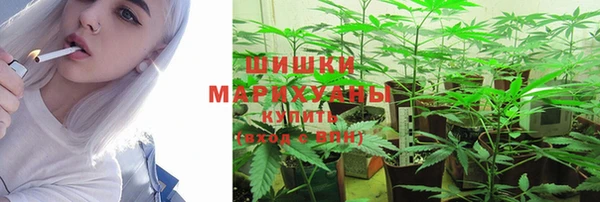 ГАЛЛЮЦИНОГЕННЫЕ ГРИБЫ Алексеевка