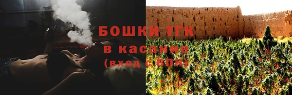 ПСИЛОЦИБИНОВЫЕ ГРИБЫ Алзамай