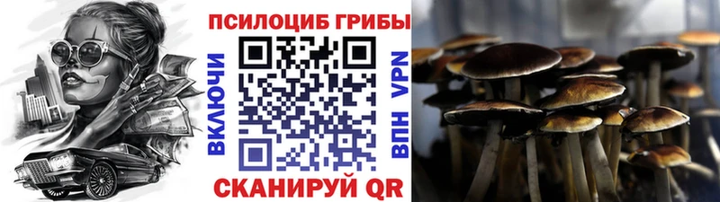 как найти   сайты даркнета Telegram  Галлюциногенные грибы мухоморы  Старая Купавна 