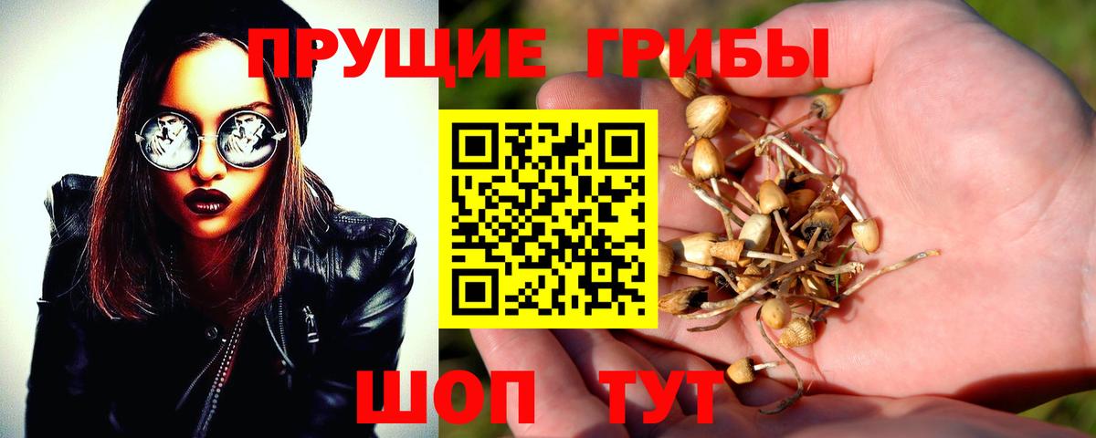 Псилоцибиновые грибы ЛСД Старая Купавна